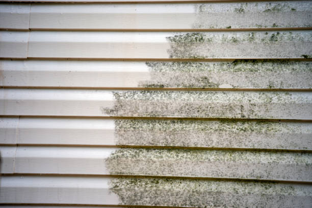 Recycling Services for Junk in Reeds Spring, MO