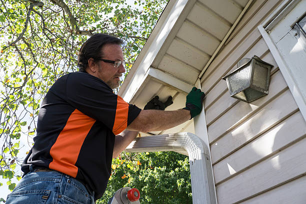 Best Carpet Removal and Disposal  in Reeds Spring, MO